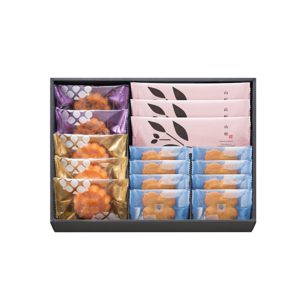 2_1000x.png?v=1742963419